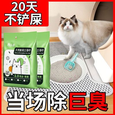 猫砂除臭20斤装40斤批发特价膨润土防臭猫沙10斤快速去尿味除味