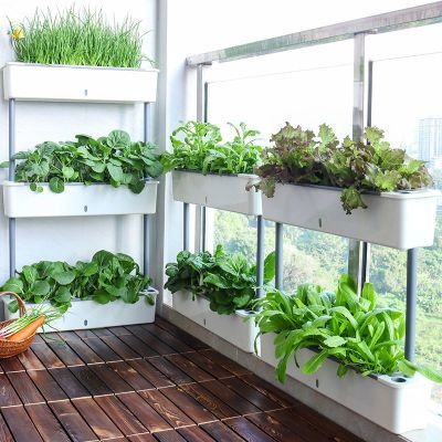 长方形窄边立体多层种菜盆加长加厚自动吸水室内阳台专用种花盆