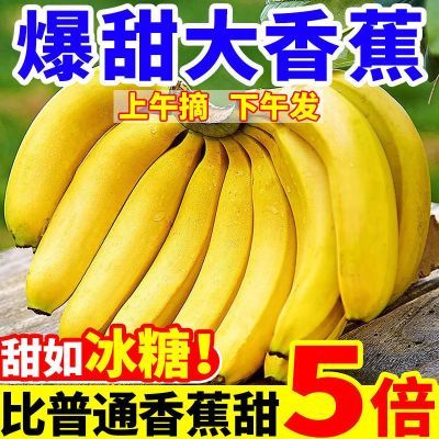 水果糯米香蕉零食农家玉米糍粑特产批发休闲早餐手工网红粗粮年糕