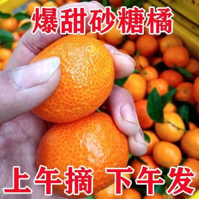 正宗广西沙糖桔橙子柑橘休闲水果零食砂糖橘专用包装无核包邮新鲜