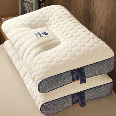 太空舱枕头枕芯一对装记忆枕宿舍学生护颈椎抑菌枕芯可水洗可机洗