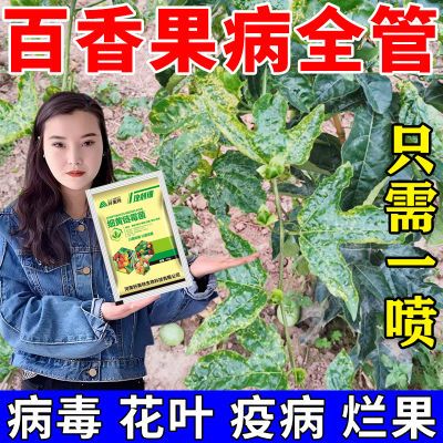 百香果病毒病专用杀菌药卷叶小叶花叶病药百香果病全治专用杀菌剂