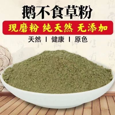 现磨鹅不食草粉 包邮 正品鹅不食草粉 饿不吃草鹅不食草袋装野生