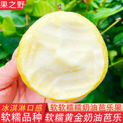 广西新鲜软糯冰淇淋口感奶油芭乐番石榴低糖孕妇现摘鸡屎果水果