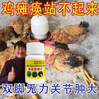 鸡鸭瘫痪专用药【吃完能跑】鸡鸭腿软弱无力站立不稳感冒拉稀补钙