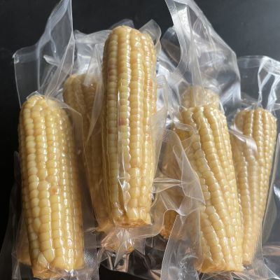 玉米新鲜真空糯玉米甜糯非转基因东北真空包装玉米棒粗粮即食