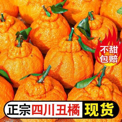 四川不知火丑橘新鲜丑八怪橘子非耙耙柑桔子当季水果特级整箱