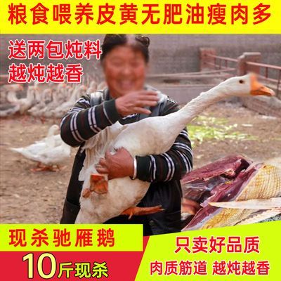 【极速发货】新鲜现杀10斤鹅肉大鹅整只鹅大鹅农家散养大白鹅老鹅