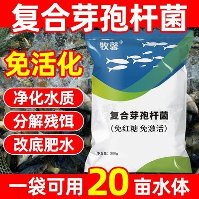 复合芽孢杆菌水产养殖专用免发酵降ph亚硝酸盐鱼虾蟹塘改底调水