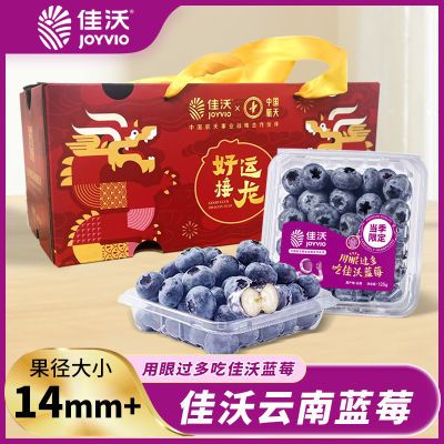 【龙年限定】JOYVIO佳沃云南蓝莓125g/盒大果当季水果14+mm整箱