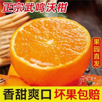 【整箱沃柑】广西武鸣沃柑5斤中小新鲜橘子当季水果薄皮果园直发