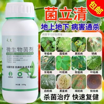 正品菌立清微生物菌剂白粉病病毒病霜霉灰霉病锈病农用杀菌菌剂