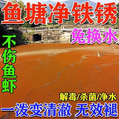 鱼塘水质净化剂宝池塘变清除铁锈水浑浊调水解毒消毒杀菌药除绿藻