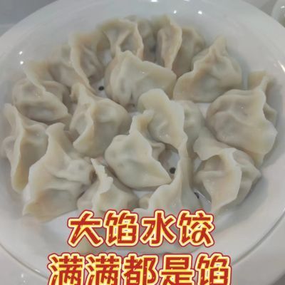 【芸生】吃饺子手工水饺山西上党6种口味皮薄馅大