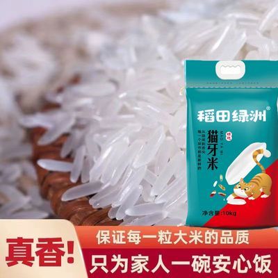 【20斤特价】猫牙香米5/20斤大米新米超长粒象牙米晚稻丝苗米批发