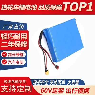 原装电动独轮车进口锂电池组60V3a通用型平衡滑板车体感车可定做