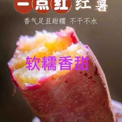 产地直发广州正宗一点红番薯软糯香甜口感红薯早餐零食小孩孕妇