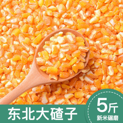 低价东北特产大碴5斤大碴子碴子玉米颗粒便宜食用新鲜珍珠粘苞米