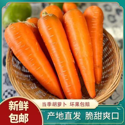 【高品质】5/9斤胡萝卜沙土地新鲜红萝卜现挖现发农家自种胡萝卜
