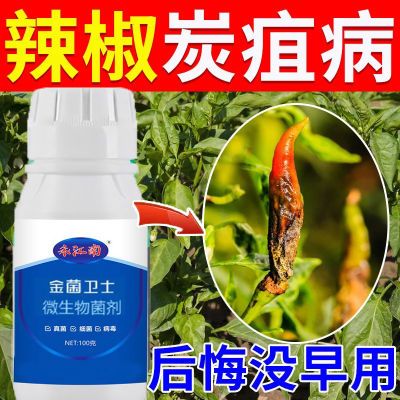 辣椒病毒病专用药卷叶病黄叶炭疽病农药杀菌剂辣椒专用辣椒病全治