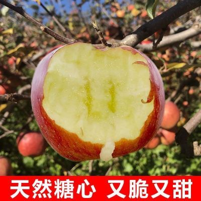 红富士苹果#陕西特产粉糯香甜脆甜冰糖心丑苹果