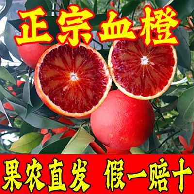 【正宗血橙】四川资中塔罗科新鲜10斤薄皮红心红橙特爆甜橙子水果
