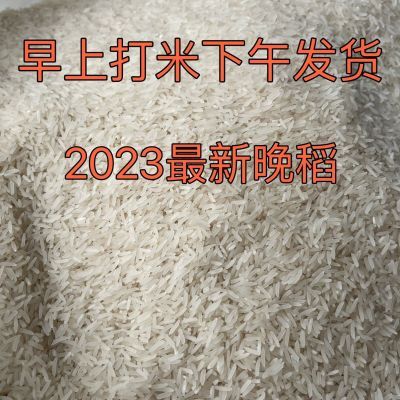 【2023晚稻新米上市抢先吃】广州从化农家米新鲜香粘不抛光不打蜡