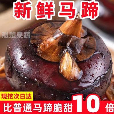 广西桂林新鲜马蹄荸荠水果农家蔬菜马蹄果地栗地梨现挖现发包邮