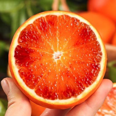 现货新鲜塔罗科血橙橙子玫瑰香橙时令水果5斤整箱正宗血橙