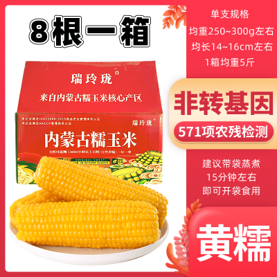 内蒙古新鲜甜糯10玉米真空包装秋天味道糯玉米粗粮代餐玉米棒整箱