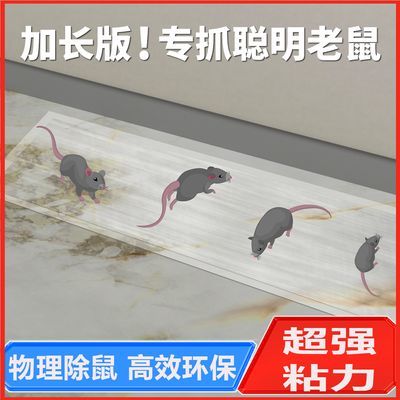 加大强力粘鼠魔毯粘鼠板物理家用老鼠贴大号室内无毒加长捕鼠神器