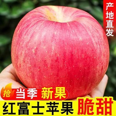 【高品质】5/9斤正宗红富士薄皮苹果脆甜新鲜孕妇水果批发整箱