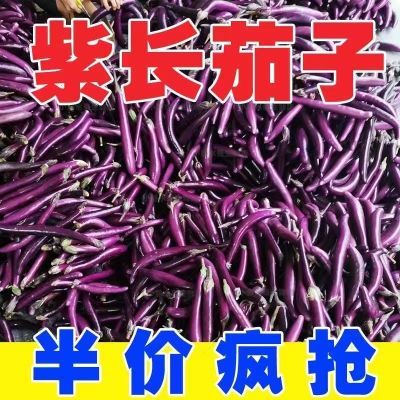 紫皮长茄当季云南新鲜红茄蔬菜紫把批发价整箱非圆茄青茄农家10