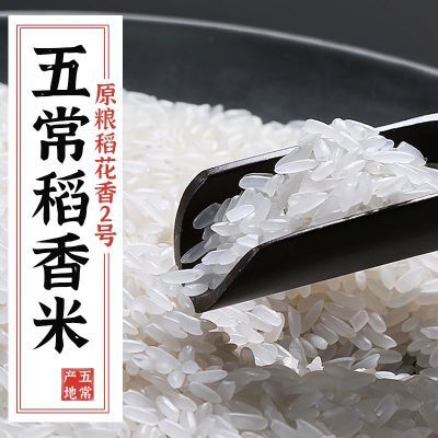 特正宗五常大米原粮稻花香2号2023年新米5kg黑龙江东北大米10斤级