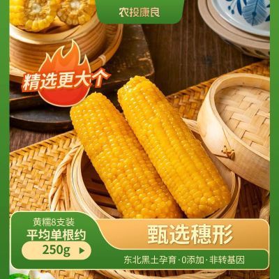 【农投康良】10大棒新鲜黄糯玉米真空包装非转基因整箱批发无添加
