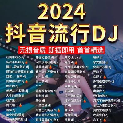 2024火爆抖音DJ歌曲车载音乐u盘网络流行中文dj重低音榜单无损MP3