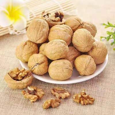 农家自种自卖核桃新疆核桃好核桃多规格干果坚果核桃包邮非纸皮【5月25日发完】