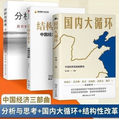 分析结构性热卖套装思考改革国内循环中国经济黄奇帆复旦张占斌