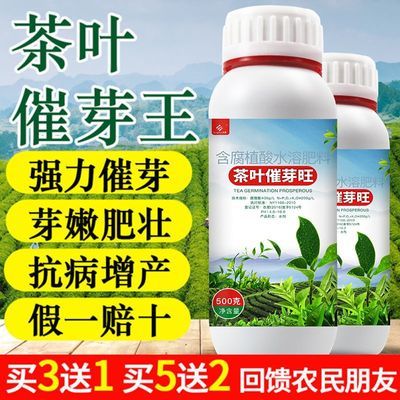 茶叶叶面肥茶树通用茶叶催芽剂多芽嫩芽暴芽增产水溶肥茶叶催芽王