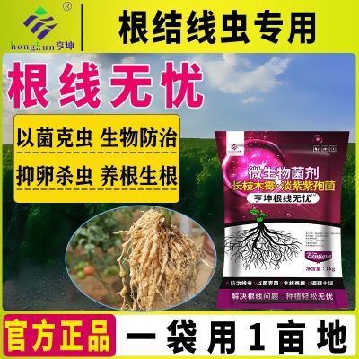 根结线虫专用淡紫紫孢菌柑橘黄瓜辣椒烟叶番茄根腐根线虫冲施肥