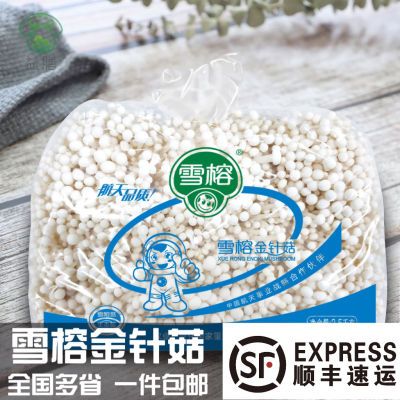 新鲜华绿雪榕金针菇航天品质连锁餐饮食堂专用实惠厂销直发包邮食