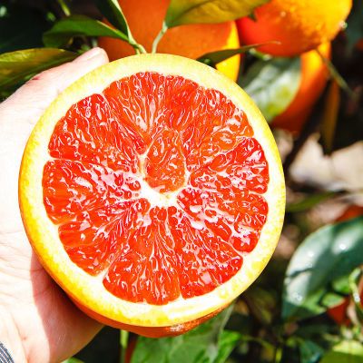 重庆云阳红橙当季时令新鲜水果中华红血橙果冻血橙橙大果整箱5斤