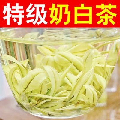 2024新茶特级【熊猫奶白茶】奶香白茶珍稀白茶高山绿茶叶罐装礼盒