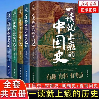 正版一读就上瘾的中国史宋朝夏商周疑案里的中国史历史书籍推荐