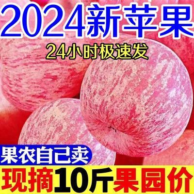 【2024烟台红富士】苹果新鲜水果红富士大果脆甜应季彩箱礼盒整箱
