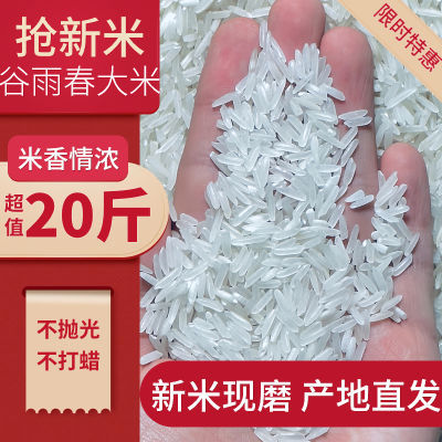 当季新米长粒米现磨软香米农家油粘米象牙形香米蛋炒饭工厂直发