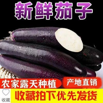 【高品质】5/9斤新鲜黑紫茄子长茄子农家现摘紫皮茄子烧烤茄子