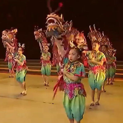 龙的传人舞蹈表演服装新款儿童元旦舞龙道具小龙女演出服舞狮舞龙