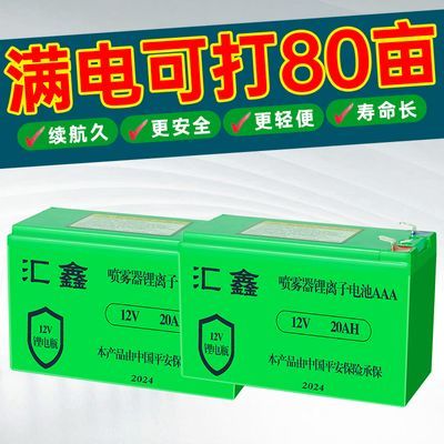 【新品促销】12v锂电池喷雾器大容量农用电动打药机照明户外电