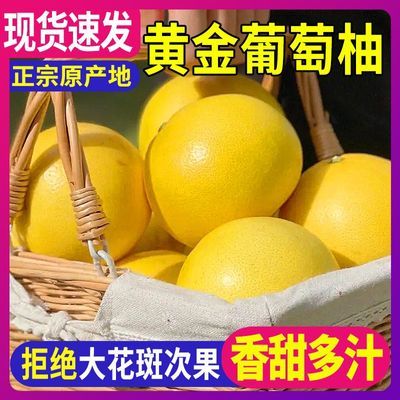 爆汁黄金葡萄柚超甜薄皮福建平和柚子新鲜水果当季台湾西柚批发